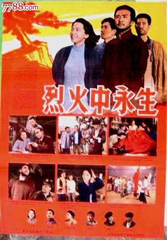 哪里能买到台湾身份证